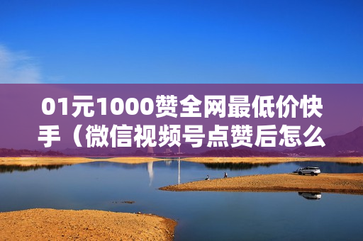 01元1000赞全网最低价快手（微信视频号点赞后怎么取消）