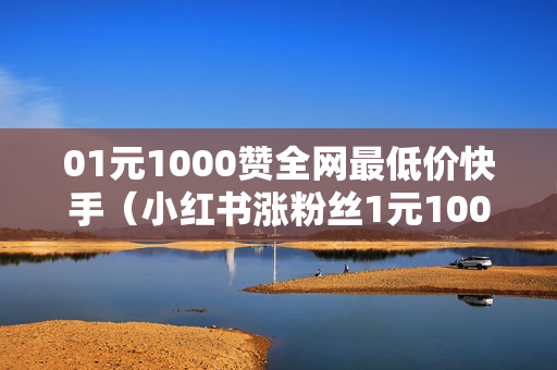 01元1000赞全网最低价快手（小红书涨粉丝1元1000个粉丝平台）