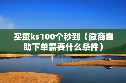 买赞ks100个秒到（微商自助下单需要什么条件）