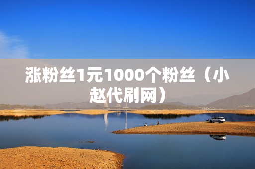 涨粉丝1元1000个粉丝（小赵代刷网）