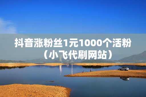 抖音涨粉丝1元1000个活粉（小飞代刷网站）