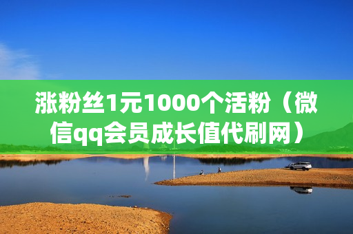 涨粉丝1元1000个活粉（微信qq会员成长值代刷网）