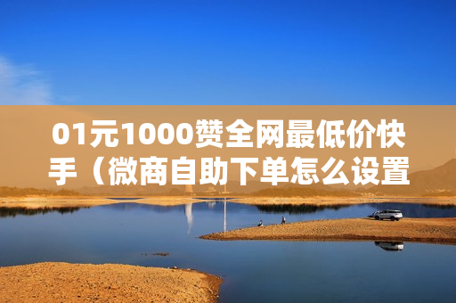 01元1000赞全网最低价快手（微商自助下单怎么设置）