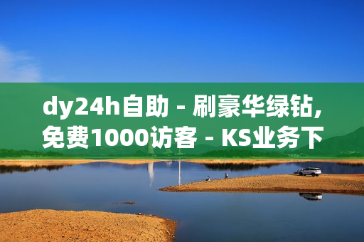 dy24h自助 - 刷豪华绿钻,免费1000访客 - KS业务下单平台