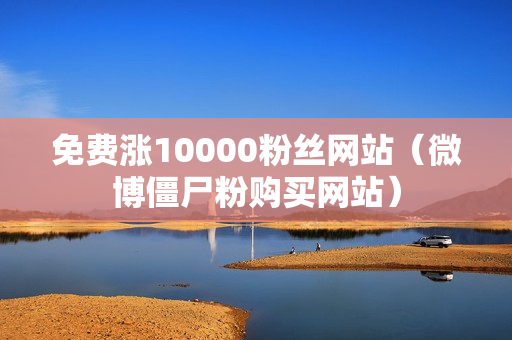 免费涨10000粉丝网站（微博僵尸粉购买网站）