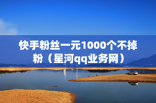 快手粉丝一元1000个不掉粉（星河qq业务网）