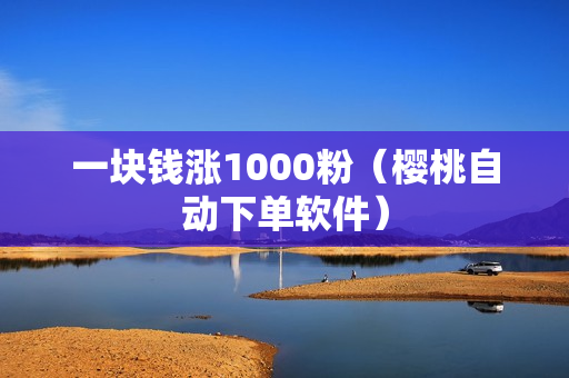 一块钱涨1000粉（樱桃自动下单软件）