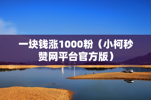 一块钱涨1000粉（小柯秒赞网平台官方版）