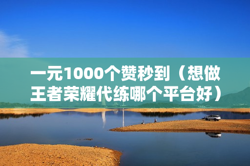 一元1000个赞秒到（想做王者荣耀代练哪个平台好）