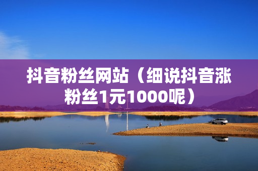 抖音粉丝网站（细说抖音涨粉丝1元1000呢）