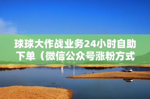 球球大作战业务24小时自助下单（微信公众号涨粉方式下载）-全网下单平台