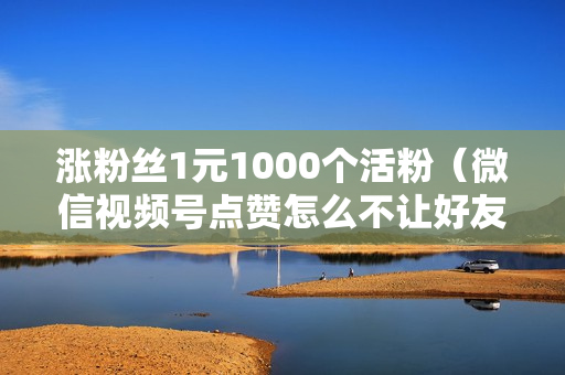 涨粉丝1元1000个活粉（微信视频号点赞怎么不让好友看到的怎么取消）-涨粉丝1元1000个活粉是真的吗