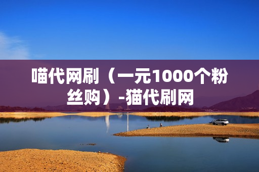 喵代网刷（一元1000个粉丝购）-猫代刷网