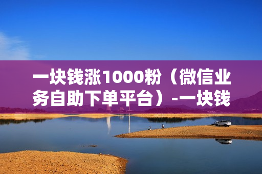 一块钱涨1000粉（微信业务自助下单平台）-一块钱涨1000粉丝是真的吗