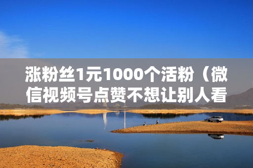 涨粉丝1元1000个活粉（微信视频号点赞不想让别人看到）-涨粉丝1元1000个活粉是真的吗