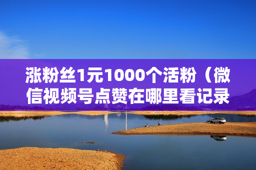 涨粉丝1元1000个活粉（微信视频号点赞在哪里看记录）-涨粉丝1元1000个活粉是真的吗