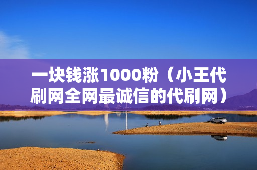 一块钱涨1000粉（小王代刷网全网最诚信的代刷网）-一块钱涨1000粉丝是真的吗