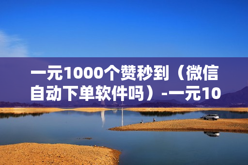 一元1000个赞秒到（微信自动下单软件吗）-一元1000个赞秒到快手