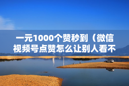 一元1000个赞秒到（微信视频号点赞怎么让别人看不到怎么关）-一元1000个赞秒到快手