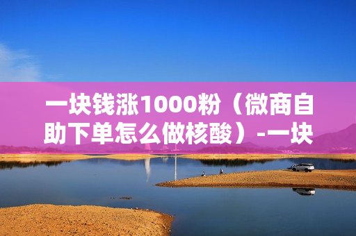 一块钱涨1000粉（微商自助下单怎么做核酸）-一块钱涨1000粉丝是真的吗