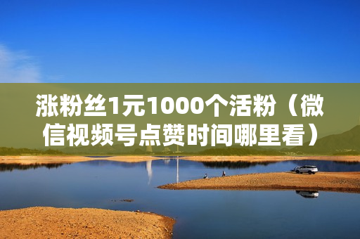 涨粉丝1元1000个活粉（微信视频号点赞时间哪里看）-涨粉丝1元1000个活粉是真的吗