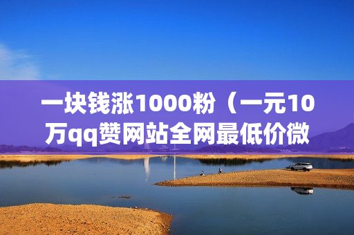 一块钱涨1000粉（一元10万qq赞网站全网最低价微信支付）-一块钱涨1000粉丝是真的吗