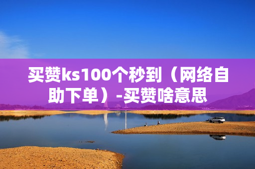 买赞ks100个秒到（网络自助下单）-买赞啥意思