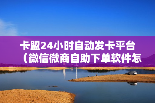 卡盟24小时自动发卡平台（微信微商自助下单软件怎么搞）-王者荣耀卡盟24小时自动发卡平台