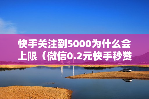 快手关注到5000为什么会上限（微信0.2元快手秒赞10000）-5000粉丝一天收入