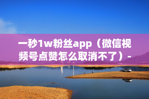 一秒1w粉丝app（微信视频号点赞怎么取消不了）-快手流量推广网站