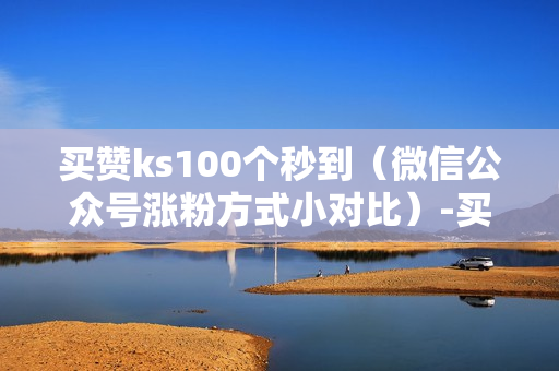 买赞ks100个秒到（微信公众号涨粉方式小对比）-买赞啥意思