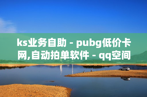 ks业务自助 - pubg低价卡网,自动拍单软件 - qq空间说说赞自助下单