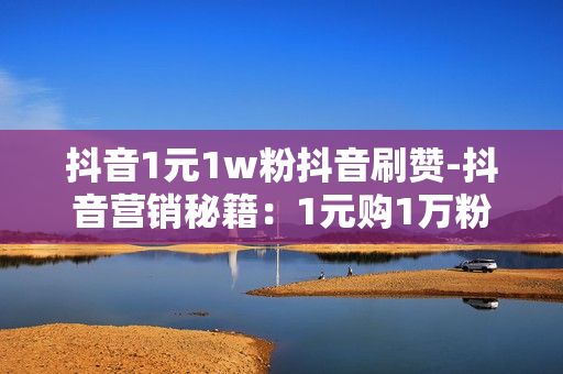 抖音1元1w粉抖音刷赞-抖音营销秘籍：1元购1万粉丝的策略与实操指南