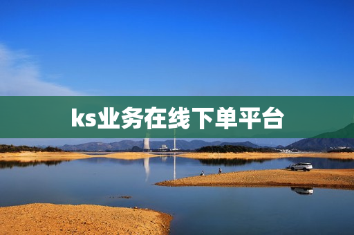 ks业务在线下单平台