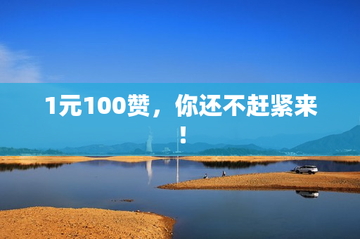 1元100赞，你还不赶紧来！