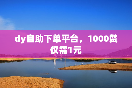 dy自助下单平台，1000赞仅需1元