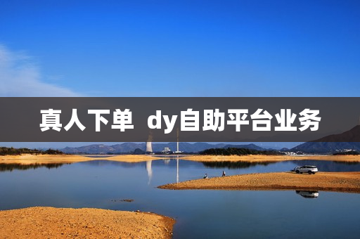 真人下单 dy自助平台业务