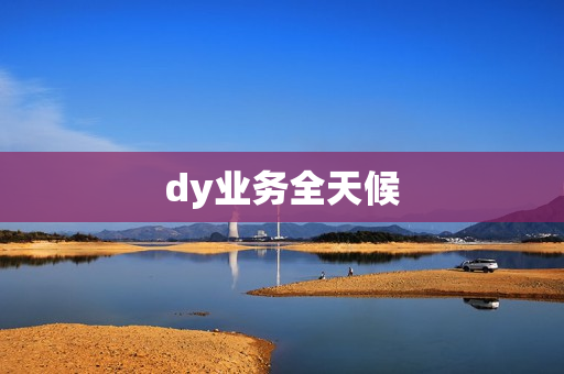 dy业务全天候