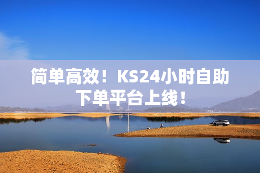 简单高效！KS24小时自助下单平台上线！