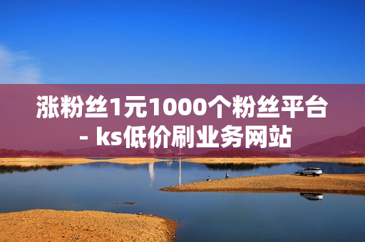 涨粉丝1元1000个粉丝平台 - ks低价刷业务网站