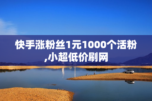 快手涨粉丝1元1000个活粉,小超低价刷网