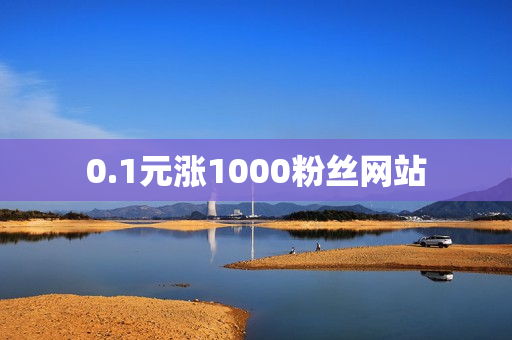 0.1元涨1000粉丝网站