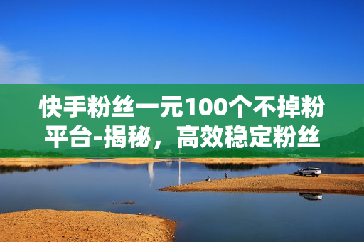 快手粉丝一元100个不掉粉平台-揭秘，高效稳定粉丝增长策略——快手一元100粉不掉粉平台深度解析