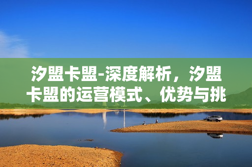 汐盟卡盟-深度解析，汐盟卡盟的运营模式、优势与挑战——一场数字时代的虚拟经济探索