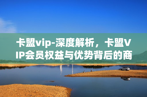 卡盟vip-深度解析，卡盟VIP会员权益与优势背后的商业逻辑