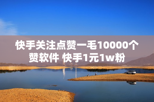 快手关注点赞一毛10000个赞软件 快手1元1w粉