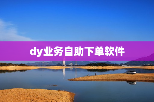 dy业务自助下单软件