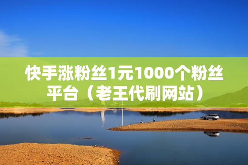 快手涨粉丝1元1000个粉丝平台（老王代刷网站）