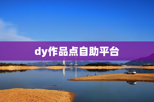 dy作品点自助平台